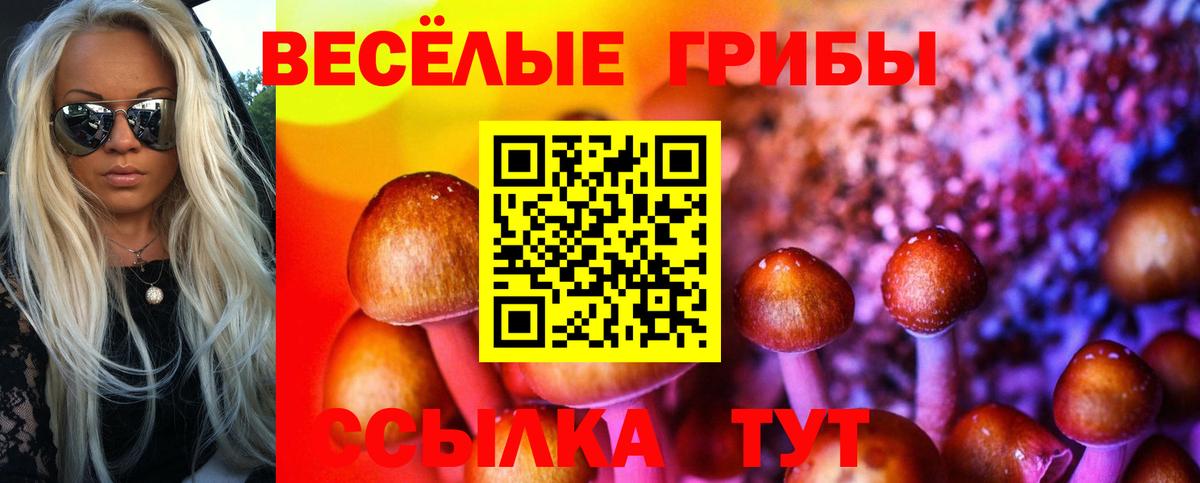 Псилоцибиновые грибы ЛСД Камень-на-Оби