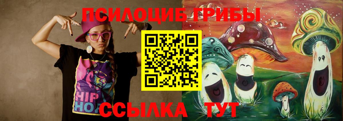 Камень-на-Оби  Галлюциногенные грибы мицелий  Вход с VPN 