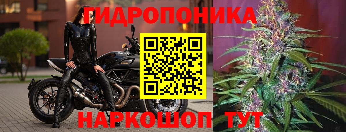 Шишки марихуана гибрид  Бошки марихуана SATIVA & INDICA  Вход с VPN  Каннабис индика  Канабис планчик  Камень-на-Оби 