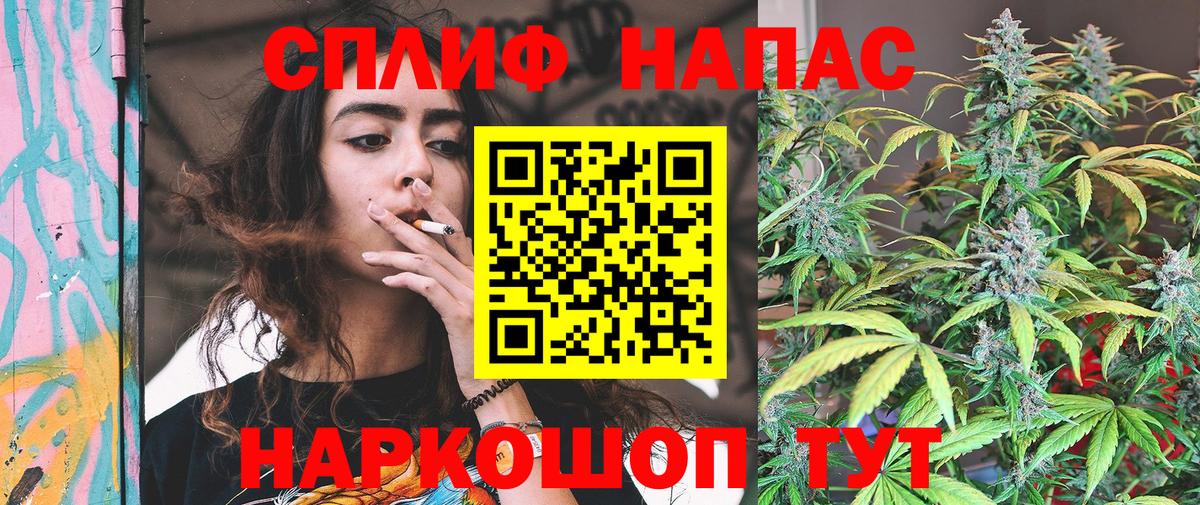 Конопля марихуана Камень-на-Оби